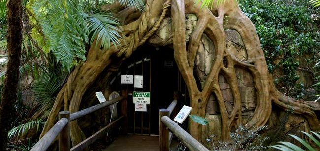 Glow Worm Cave